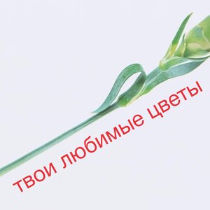 твои любимые цветы