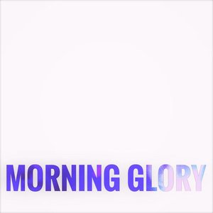 Morning Glory
