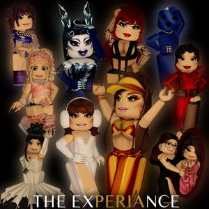 The Experiance