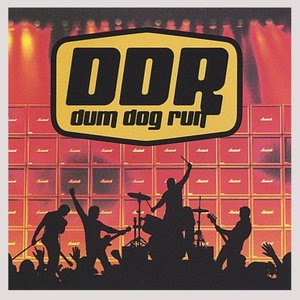 Dum Dog Run
