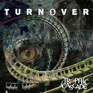Turnover