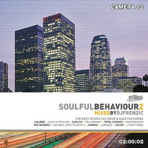 Soulful Behaviour 2