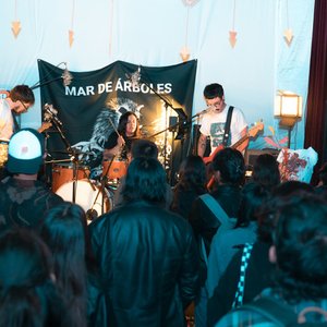 Avatar for Mar De Árboles