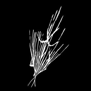 Avatar for Keinviik
