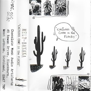 Cactuses Come In Flocks