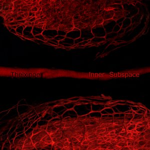 Inner Subspace