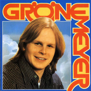 Grönemeyer cover
