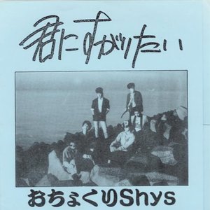 Image for 'おちょくりShys'