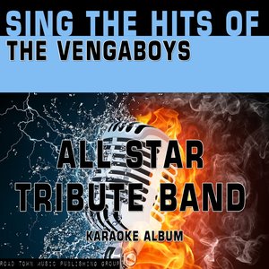 Sing the Hits of the Vengaboys