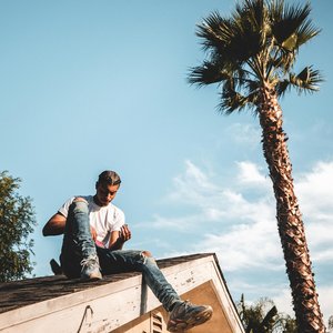 Vulture - Single