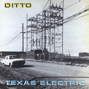 Texas Electric