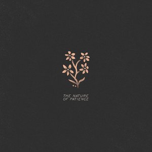 The Nature of Patience