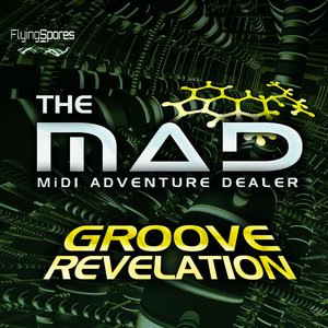 Groove Revelation