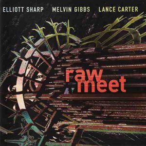 Elliot Sharp, Melvin Gibbs, Lance Carter 的头像