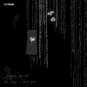 The Way I Love You (TS7 remix)
