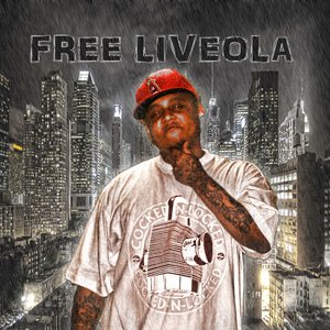 Liveola 的头像