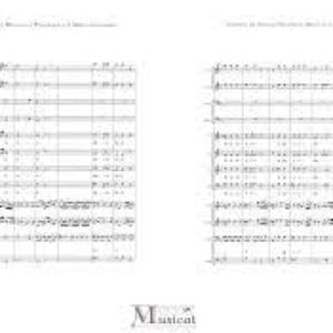 Matheo Tollis de la Rocca 的头像