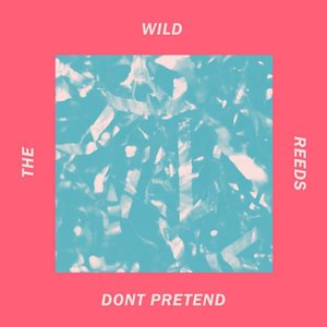 Don't Pretend