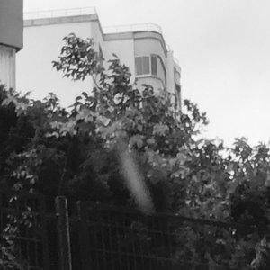 ölü ozan türküleri