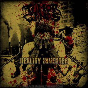 Reality Inverter