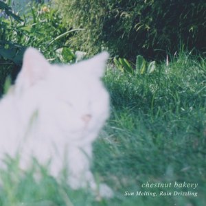 Sun Melting, Rain Drizzling - EP