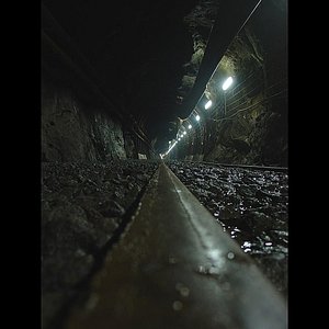 In the Basement