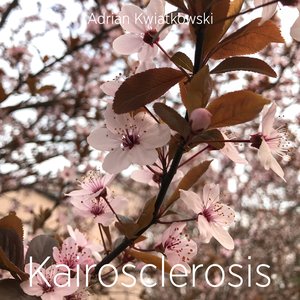 Kairosclerosis