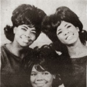 The Marvells 的头像