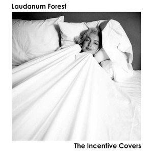“The Incentive Covers”的封面