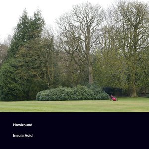 Insula Acid