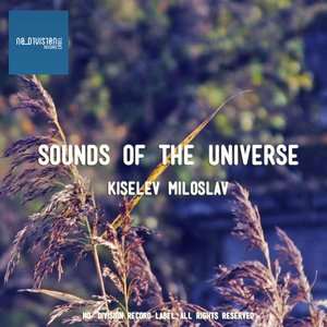 Sounds of the Universe