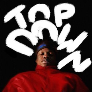 TOP DOWN - Single