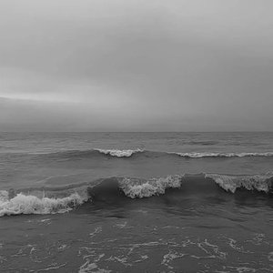 Into The Sea