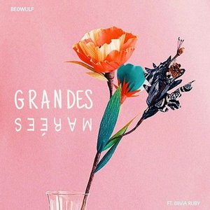 Grandes Marées
