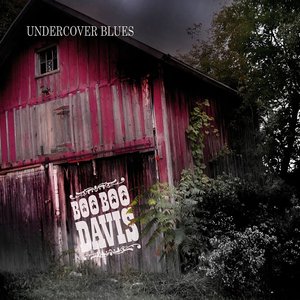 Изображение для 'Undercover Blues'