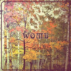 Womb