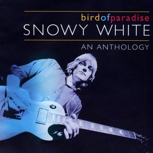 Bird Of Paradise / An Anthology