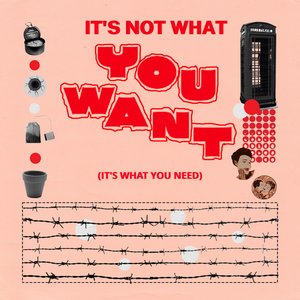 It's Not What You Want - Single