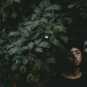 Goose 我鳥 的头像