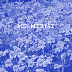 Mesmerise