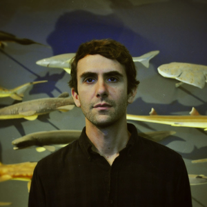 Chris Cohen photo provided by Last.fm