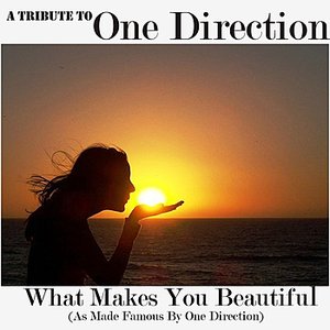 A Tribute To One Direction (What Makes You Beautiful Cover)