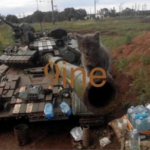 9Ine - Single