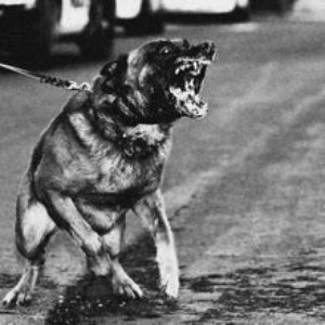 Oliver Francis - Violence - Zortam Music