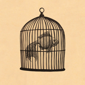 Fish In A Birdcage - Fish In A Birdcage EP - Zortam Music