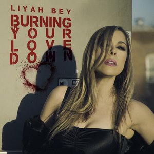 Burning Your Love Down