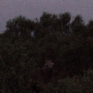 Totem Echo