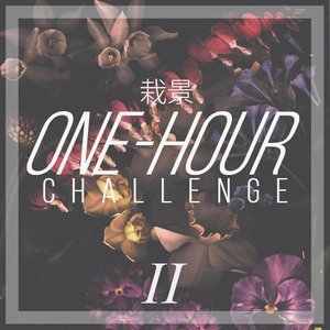 One-Hour Challenge II
