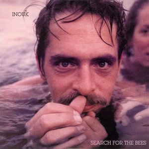 Search for the Bees