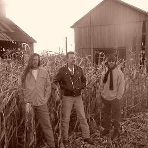 Avatar for Rollin in the Hay